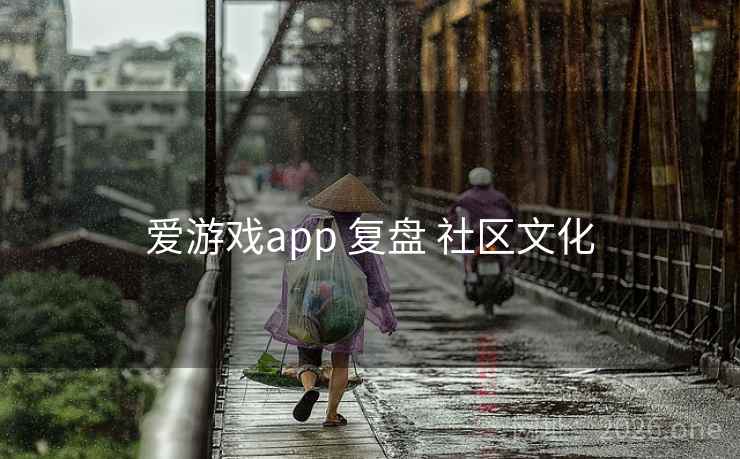 爱游戏app 复盘 社区文化