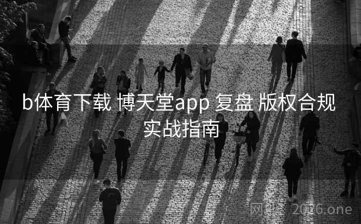 b体育下载 博天堂app 复盘 版权合规 实战指南