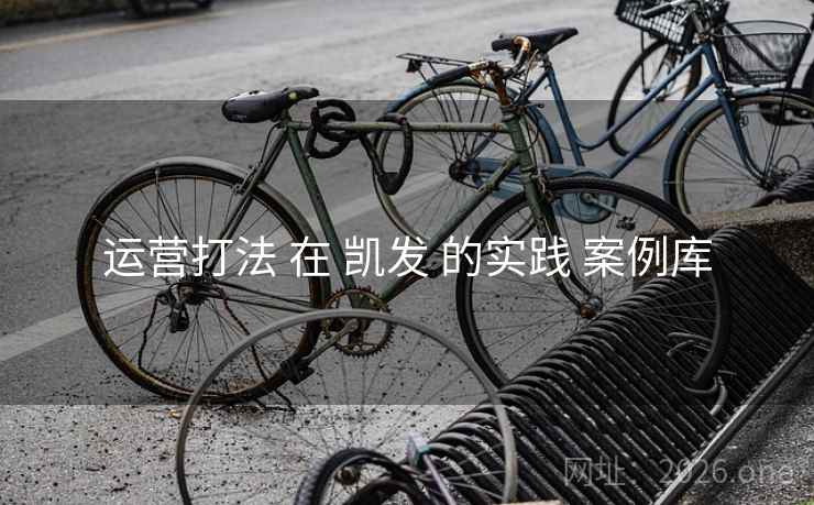 运营打法 在 凯发 的实践 案例库