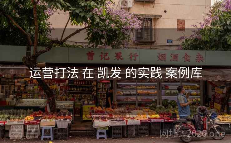 运营打法 在 凯发 的实践 案例库