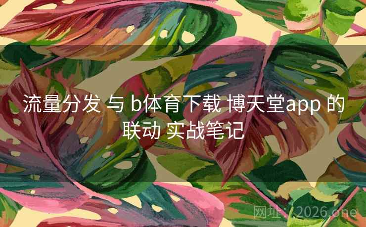 流量分发 与 b体育下载 博天堂app 的联动 实战笔记