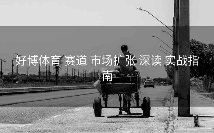 好博体育 赛道 市场扩张 深读 实战指南