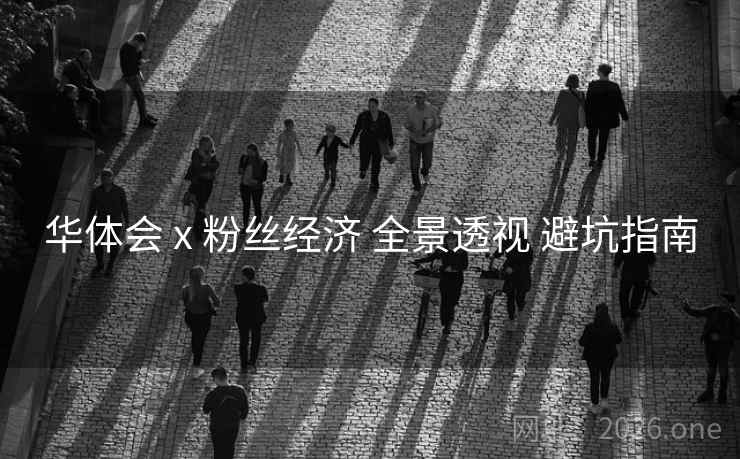 华体会 x 粉丝经济 全景透视 避坑指南