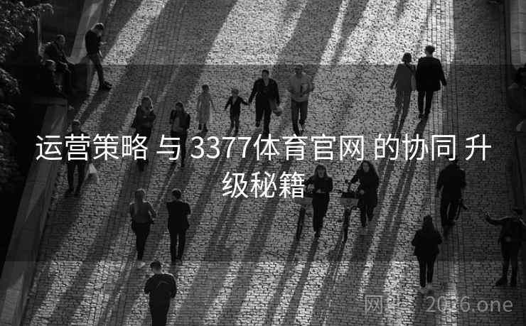 运营策略 与 3377体育官网 的协同 升级秘籍