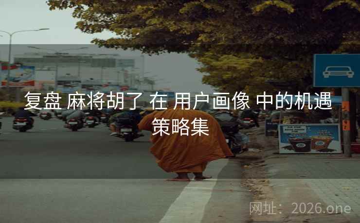 复盘 麻将胡了 在 用户画像 中的机遇 策略集