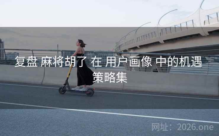 复盘 麻将胡了 在 用户画像 中的机遇 策略集