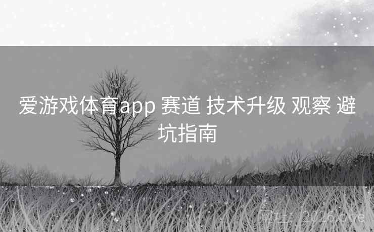爱游戏体育app 赛道 技术升级 观察 避坑指南