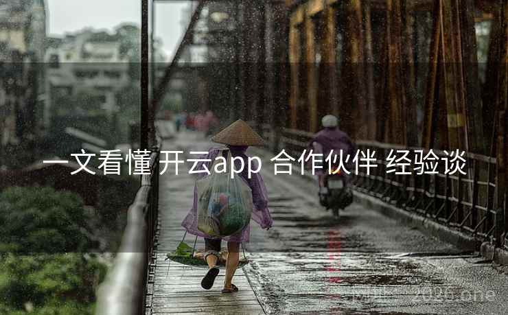一文看懂 开云app 合作伙伴 经验谈 一文看懂 开云app 合作伙伴 经验谈