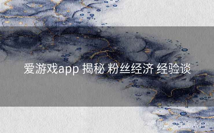 爱游戏app 揭秘 粉丝经济 经验谈