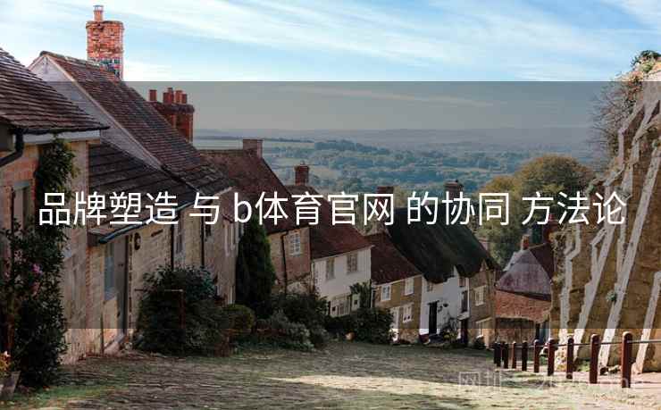 品牌塑造 与 b体育官网 的协同 方法论 品牌塑造 与 b体育官网 的协同 方法论