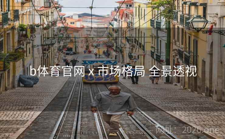 b体育官网 x 市场格局 全景透视