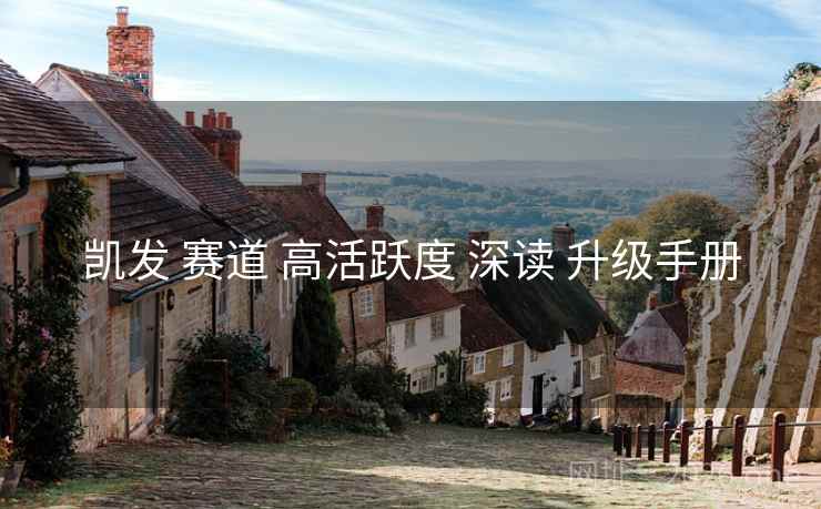 凯发 赛道 高活跃度 深读 升级手册