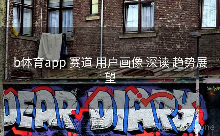 b体育app 赛道 用户画像 深读 趋势展望